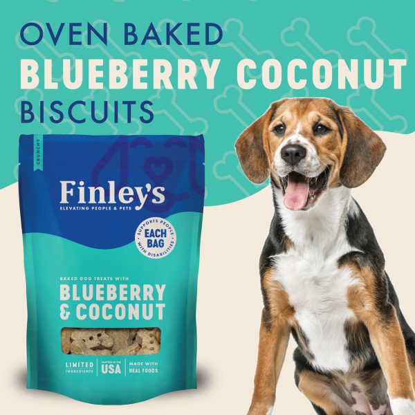 Finley s Blueberry Coconut Crunchy Biscuits Online now