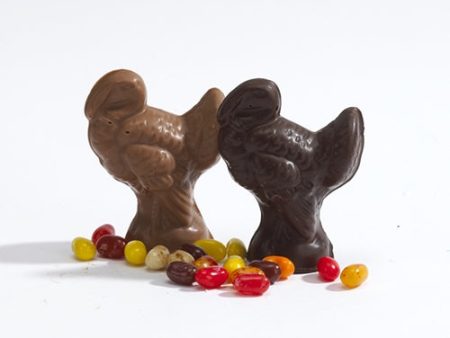 Small Solid Chocolate Turkey Fashion