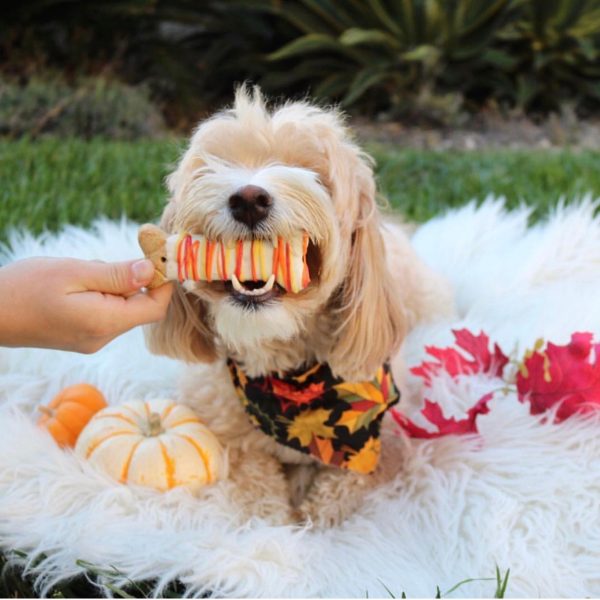 Fall Dog Bones Online Sale