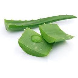 Aloe Vera For Cheap